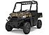 2019 Polaris Ranger 500 for sale 200619698